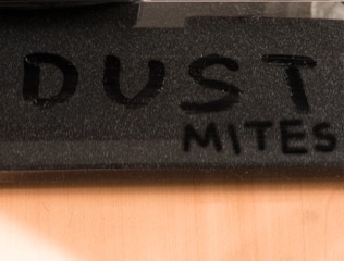 dust-mites